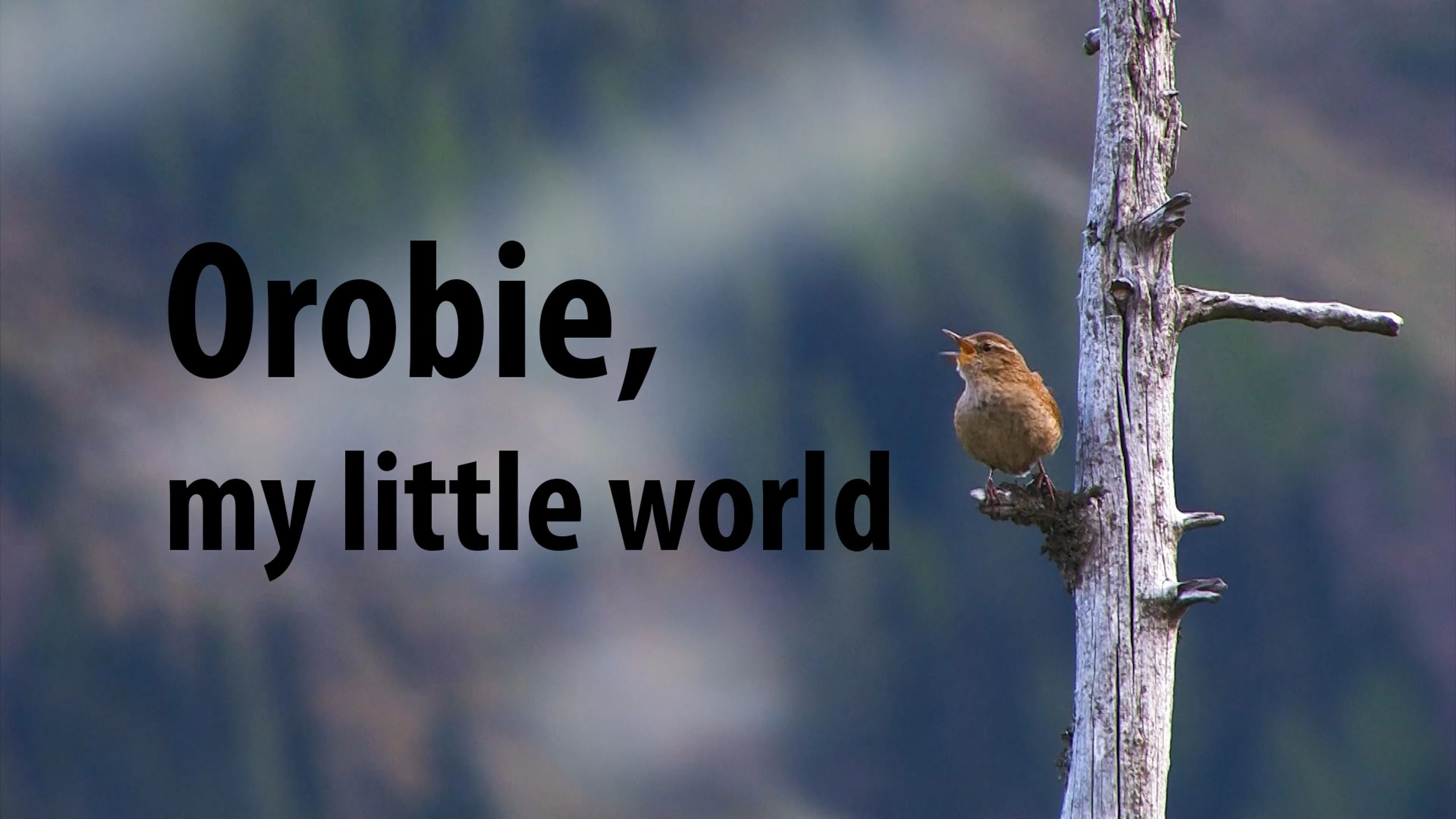 Orobie, My Little World poster